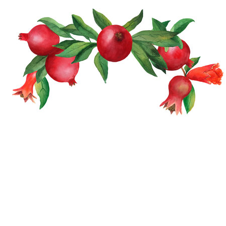 Composition of whole pomegranates with leaves and flowers. Watercolor illustration isolated on white background. Art creative object garnet for menu, textile, card, postcards, wrapping, packagingの写真素材