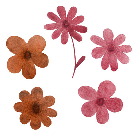 Set of five flowers isolated on white background. Pink and brown hand drawn design elements for posters, cards, gift bags, invitations, textile, print, wallpaper, for childrenの写真素材