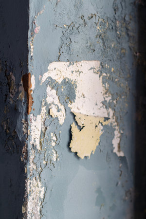 Indoor mold damage on painted wall surfaceの写真素材