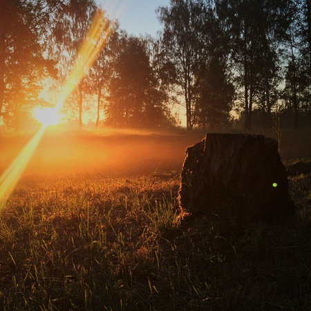 sunset in the field, orangeの写真素材