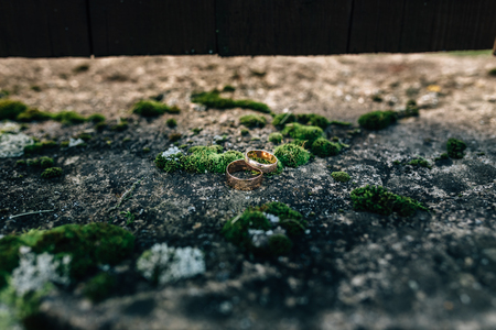gold wedding rings on a stoneの写真素材