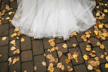 bride dress on autumn leavesの写真素材