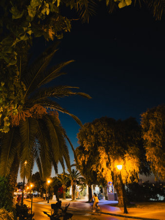 An Enchanting Nighttime Stroll Through a Beautiful Lush Tropical Landscape Awaits Youの写真素材