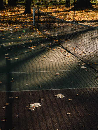 Fallen autumn leaves blanketing tennis court, with shadows from net creating intricate patterns on ground, capturing the serene beauty of the season. Tennis court covered in scattered autumn leavesの写真素材