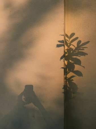 Plant and smartphone user casting shadows on textured wall. person casting shadow on textured wall,...