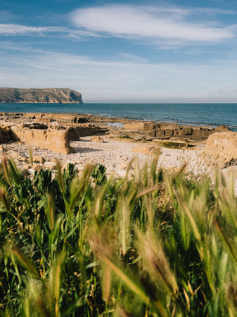 Wild grass growing on rocky shoreline, rugged cliff backdrop, azure water surrounding lush vegetation, capturing tranquil coastal environments raw natural beautyの写真素材