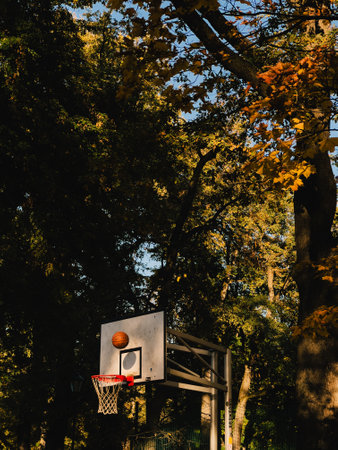 Basketball hoop and ball going into net in park during autumn. Basketball soaring through net of...