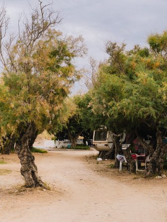 Camper trailer parked under trees. Camper trailer parked in serene campsite, nestled among trees,...