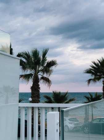 Palm trees swaying in wind on cloudy day at beach with cars parked nearby and sea in background, seen from modern white balcony. Swaying palm trees overlooking cloudy beachfront, vehicles, ocean wavesの写真素材
