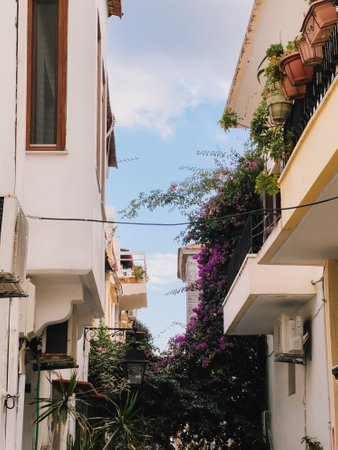 Lush purple bougainvillea climbs between white and yellow mediterranean buildings in narrow alley, adding touch of vibrant color to urban scene. Purple bougainvillea, narrow stone alleyway, flowersの写真素材
