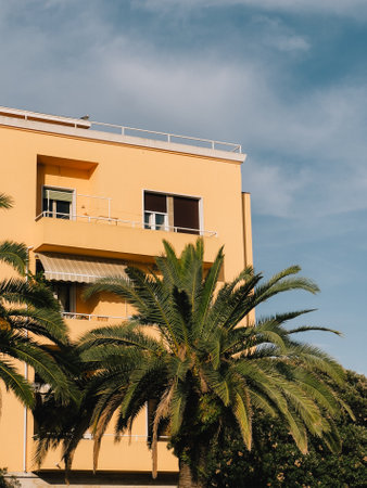 Palm trees growing in front of yellow residential building with balconies and awnings, under cloudy sky, create tranquil and exotic atmosphere. Palm trees lining yellow residential facade, balconiesの写真素材