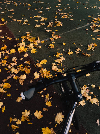 Cycling on quiet road surrounded by autumn colors is peaceful seasonal escape. The yellow leaves add warmth to cool outdoor ride. bicycle ride through leaf covered path captures the essence of fall.の写真素材