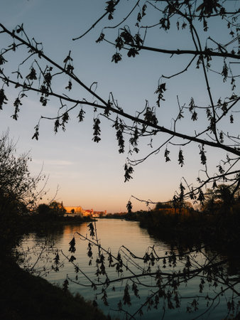Dry leaves hanging from tree branches silhouette against sunset sky over calm river with buildings on opposite bank, creating serene and melancholic autumn scene. Withered leaves dangles from branchesの写真素材
