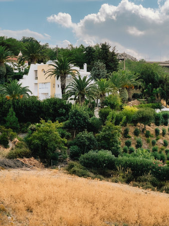 White modern villa with palm trees and lush vegetation in foreground, overlooking dry field and bridge in background, under cloudy sky. Modern white villa nestled among palm trees, verdant landscapingの写真素材