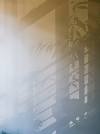 Soft sunlight illuminates scene where shadow of potted plant and railing create abstract design on wall, adding element of visual interest and depth to architectural space. Abstract geometric patternの写真素材