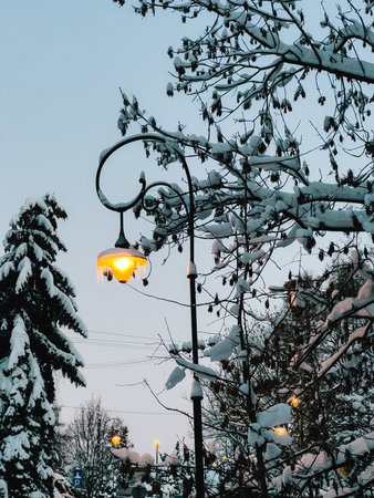 Snow covered trees and glowing street lamp create picturesque winter scene at dusk, with icicles hanging from lampshade adding touch of magic to snowy landscape. Streetlight, snow laden branchesの写真素材