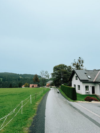 Winding along wet asphalt road, lush green meadows and charming houses dot Austrian countryside, leading toward distant forest under peaceful, serene sky. Winding asphalt road traversing green meadowsの写真素材