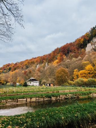 Flowing river meandering through vibrant autumn forest, showcasing charming house nestled in rural landscape of Poland on cloudy fall day. River winding through colorful autumn forest. Golden treesの写真素材