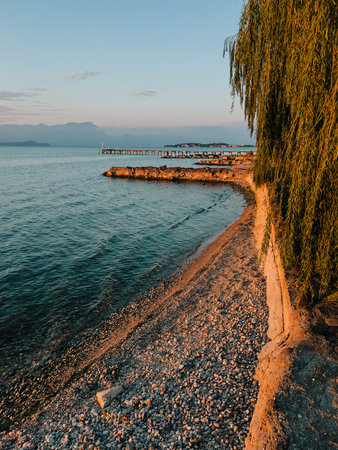 Golden hour light illuminating pebble beach and willow tree by Lake Geneva with pier and mountains in background during clear summer evening. Swiss Alps at Lake Geneva during serene summer twilightの写真素材