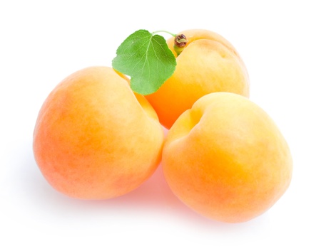 apricotsの写真素材