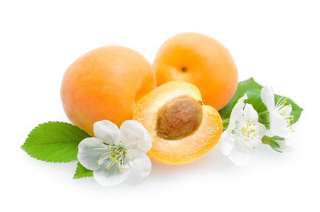 apricotsの写真素材