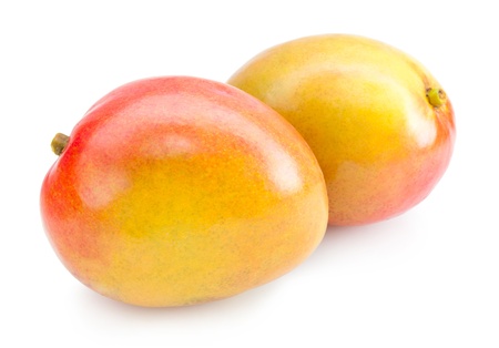 mangoの写真素材