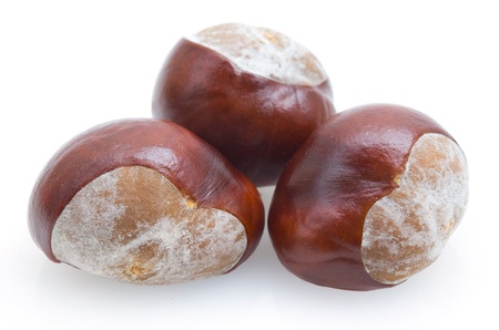 chestnutsの写真素材
