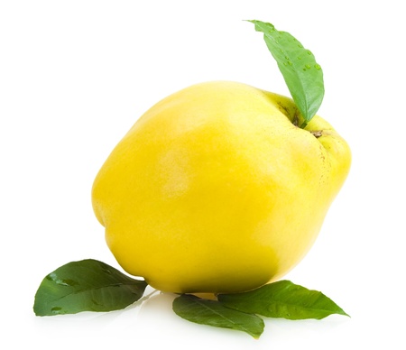 quinceの写真素材