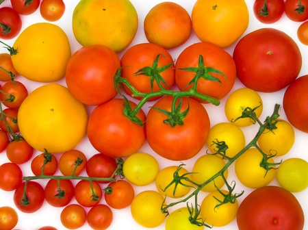 tomatoes scatteringの写真素材
