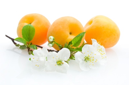 apricotsの写真素材