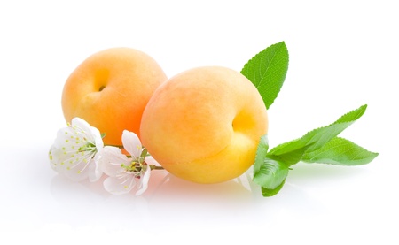 apricotsの写真素材