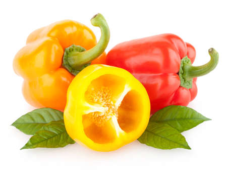 colorful paprika peppers isolated on white backgroundの写真素材
