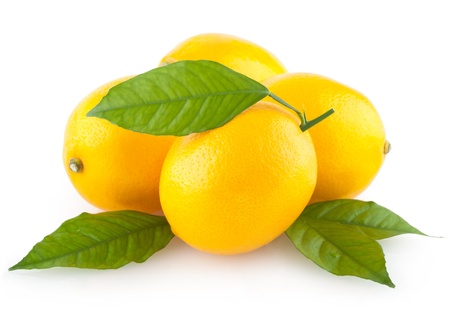 ripe lemonsの写真素材