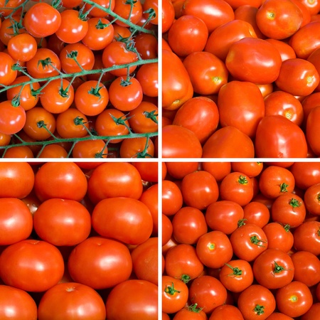 set of ripe tomato backgroundsの写真素材