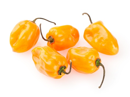hot cayenne peppersの写真素材