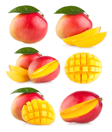 collection of 6 mango imagesの写真素材