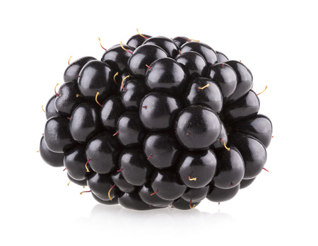 fresh blackberry isolated on white backgroundの写真素材