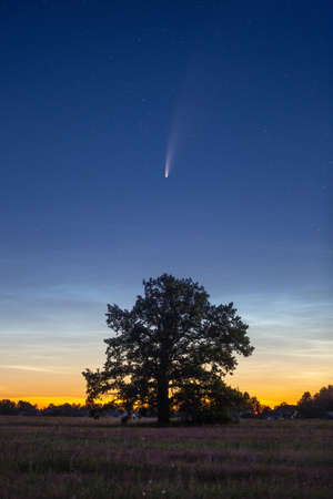 Aerial photo of Minsk (Belarus) at the nightの写真素材