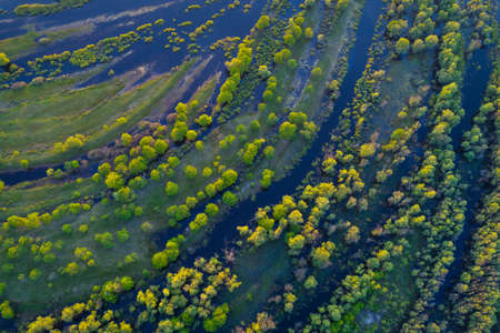 Aerial photo of a floodplain of the river Prypiac' (Pripyat) during spring overflow