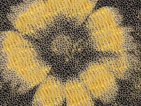 abstract flowerの写真素材