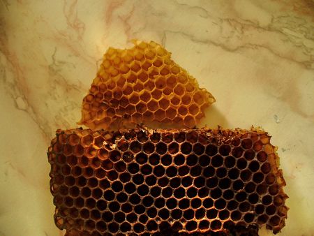 home made honeyの写真素材