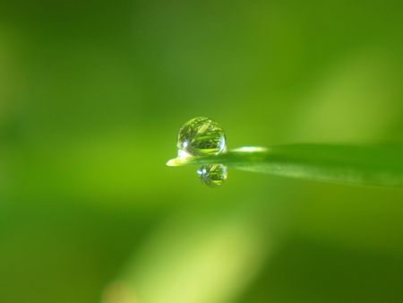 extremely closeup water dropの写真素材