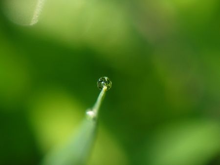 extremely closeup water dropの写真素材