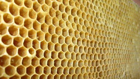 honey backgroundの写真素材
