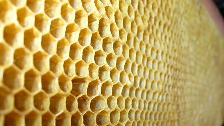 honey backgroundの写真素材