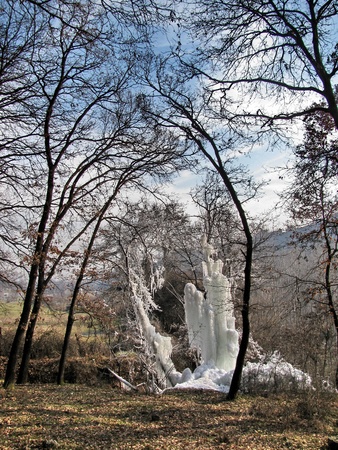                                frozen treeの写真素材