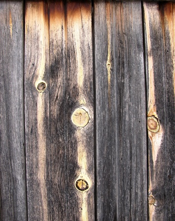 old woodの写真素材