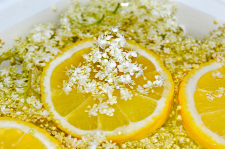 Fresh lemon and elderflowers in a bowl of water, close upの写真素材