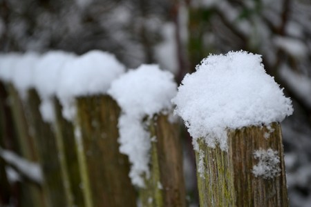 snow on an old fence in the park in the late autumnの写真素材