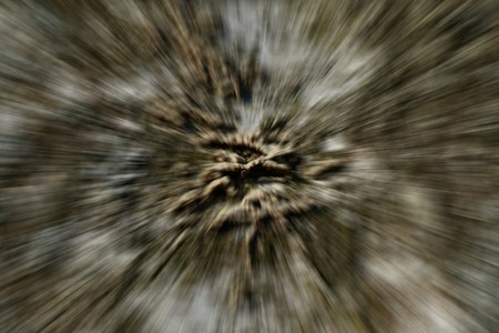 Abstract pattern of birch bark in brown and white tonesの写真素材